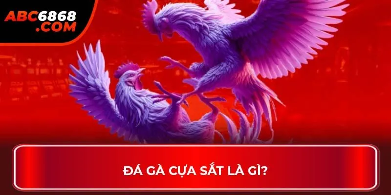 Đá gà cựa sắt là gì?