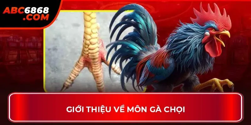Giới thiệu về môn gà chọi