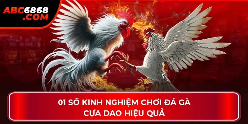 01 số kinh nghiệm chơi đá gà cựa dao hiệu quả