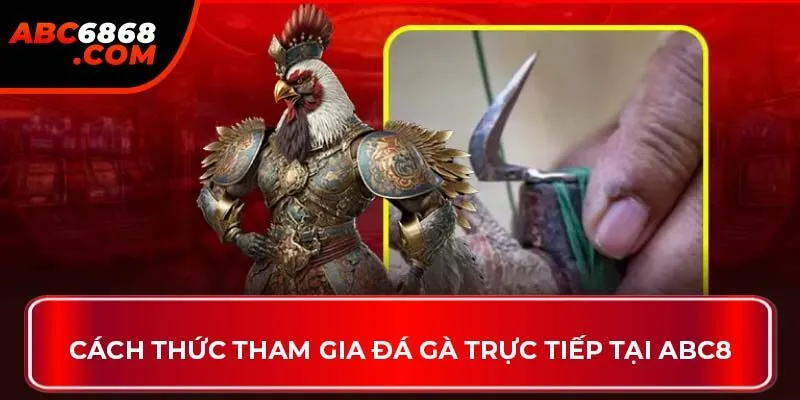 Cách thức tham gia đá gà trực tiếp tại ABC8