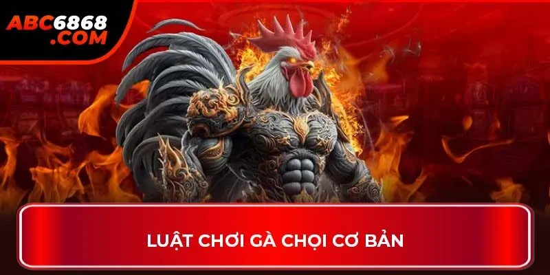 Luật chơi gà chọi cơ bản