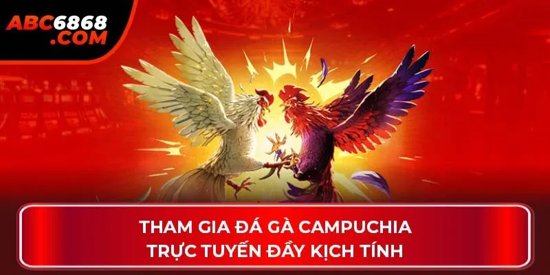 Tham gia đá gà Campuchia trực tuyến đầy kịch tính
