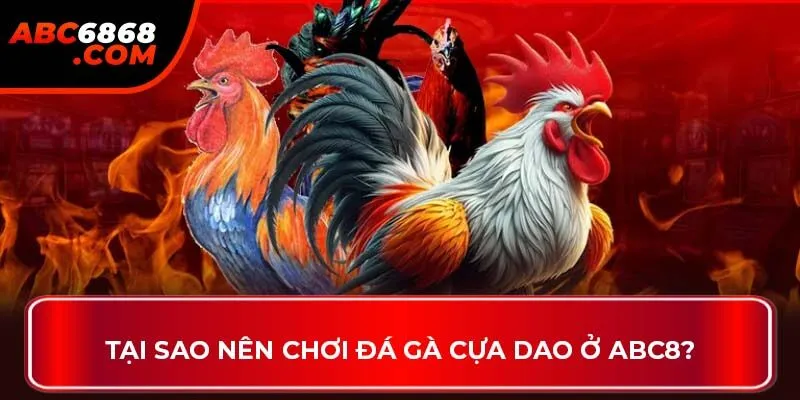 Tại sao nên chơi đá gà cựa dao ở ABC8?
