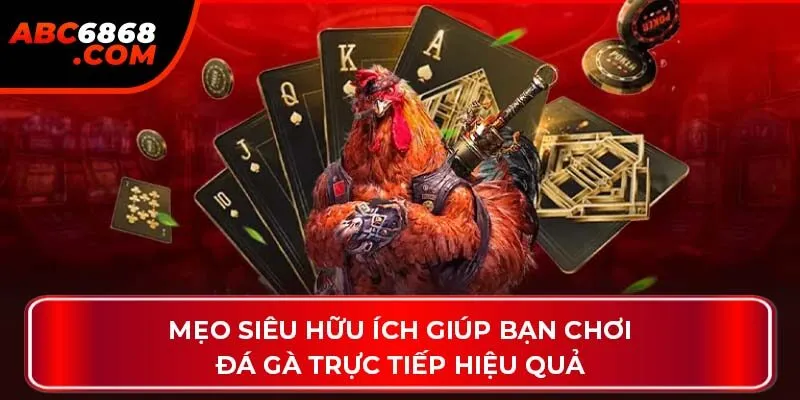 Mẹo siêu hữu ích giúp bạn chơi đá gà trực tiếp hiệu quả