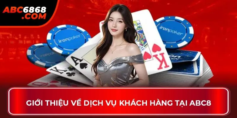 Giới thiệu về dịch vụ khách hàng tại ABC8